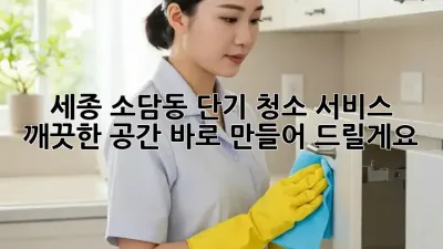 세종 소담동 단기 청소 서비스: 깨끗한 공간, 바로 만들어 드릴게요! ✨