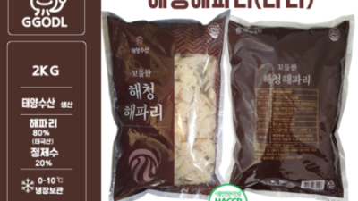 홀린 듯 예쁜 애완해파리, 후회는 절대 없어요! ✨