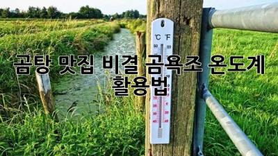곰탕 맛집 비결? 곰욕조 온도계 활용법!