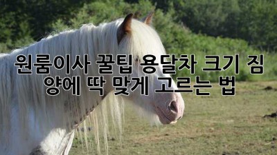 원룸이사 꿀팁🍯 용달차 크기, 짐 양에 딱 맞게 고르는 법!